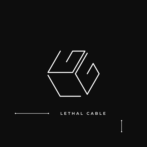 Lethal Cable - USB-C to USB-A [RUBBER ADAPTER IN BAG]